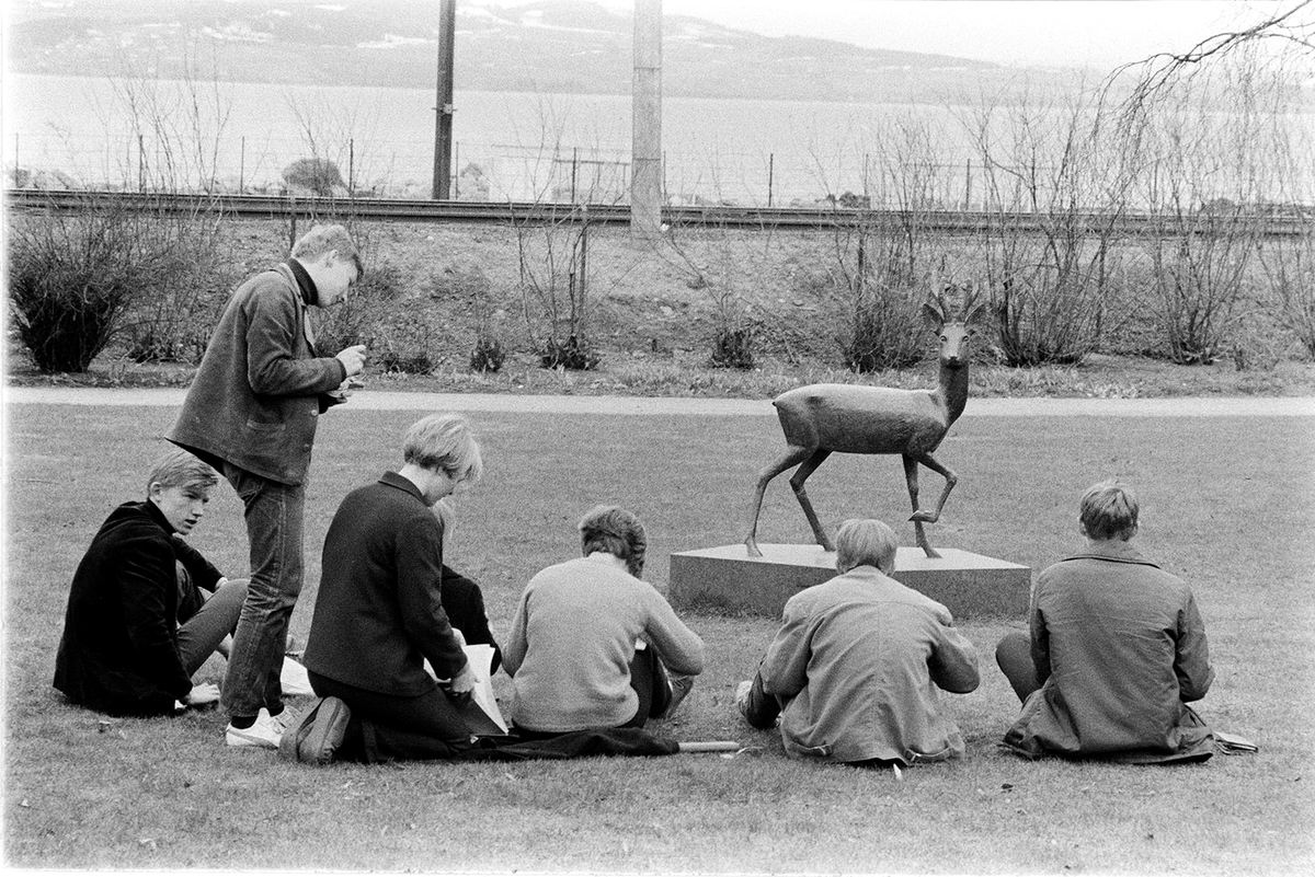 Strandgateparken, skoleelever, tegnetime, statue rådyr,