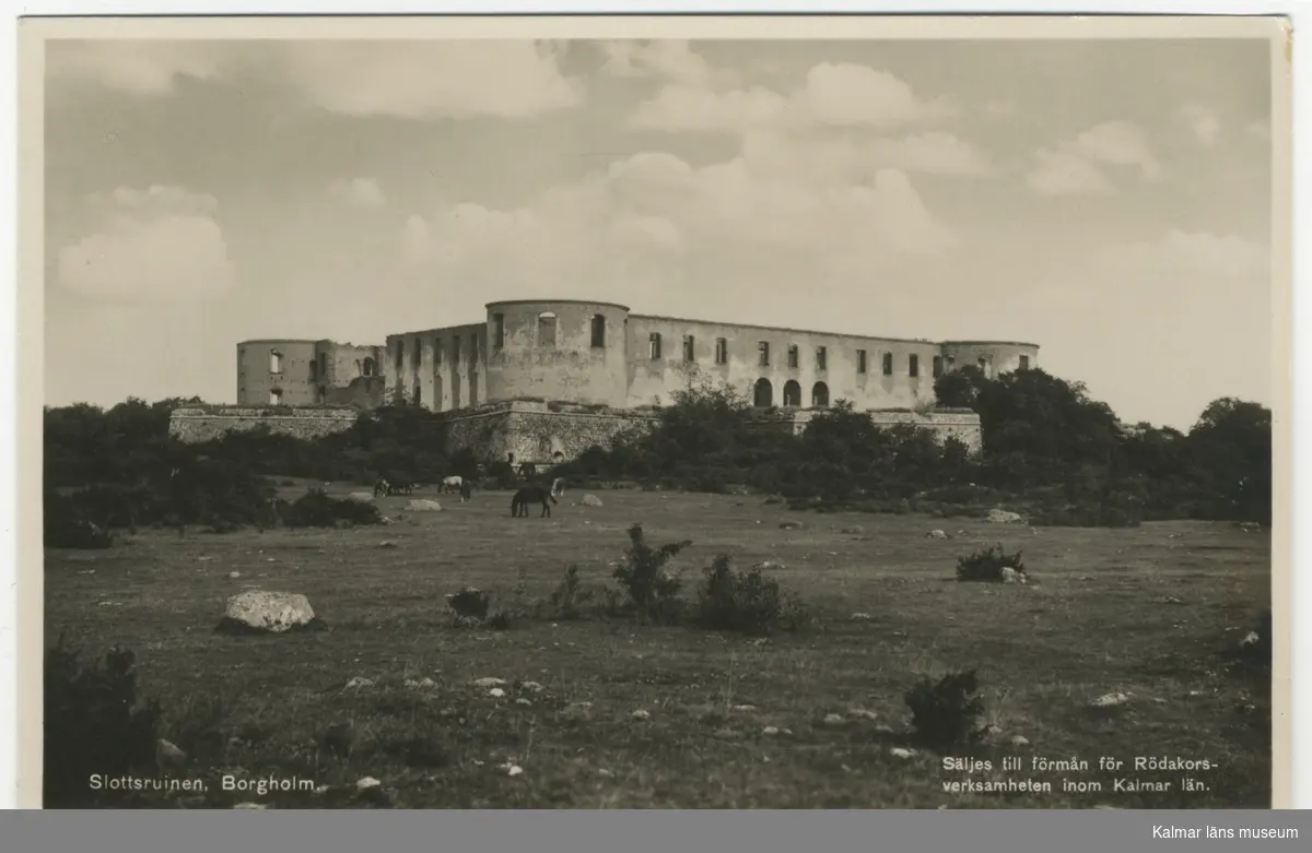 Borgholms slottsruin, framför slottet betande hästar och ett öppet landskap.