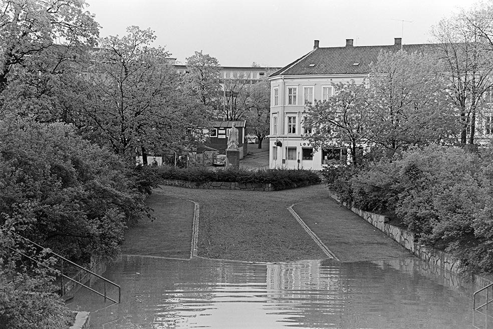 Storflom i Mjøsa 1967, Strandgateparken,