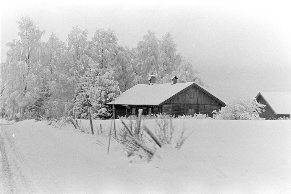 Vinter veg,snø,rim, ukjent gard, Furnes(?)