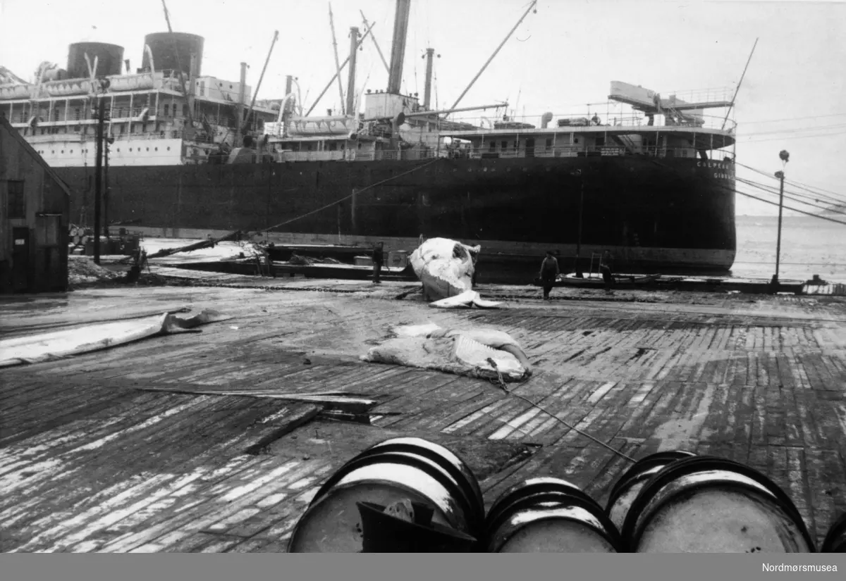 Foto fra Grytviken i Sør-Georgia, og fra en norsk hvalstasjon der.  Bildet viser en rekke tønner i forgrunnen, med en hval på bryggen under slakting. Ellers så ser vi et større fartøy liggende ved kai, og ser ut til å hete noe med "Calpean ..." og være registrert på Gibraltar. Det kan være et fartøy som heter Calpean Star og som ble kjøpt av Calpe Shipping Co. Ltd. i 1959. Hvis så skiftet den navn fra Highland Chieftain ved oppkjøpet til Calpean Star. Ulykken skulle ramme det nydøpte fartøyet like etter, da det grunnstøtte og sank etter å ha fått en maskineksplosjon ved avgang Montevideo for Liverpool 6. januar 1960.  Bildet kan derfor dateres mellom 1959 til 1960. Fotograf er trolig Rolf Karlsen. Fra Nordmøre museums fotosamlinger.