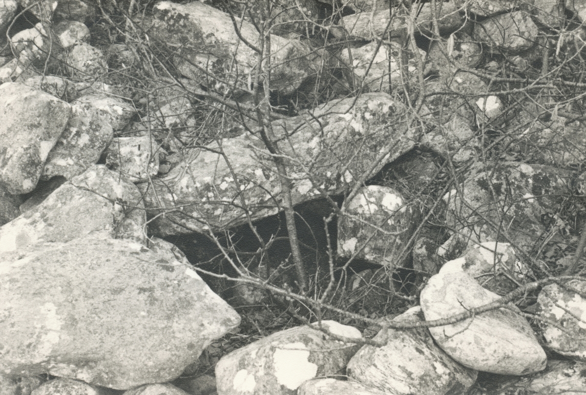 Dokumentasjonsbilder i serie av bautastein / offerstein og vikingtidsgraver på Agleberget ved Sulesund.