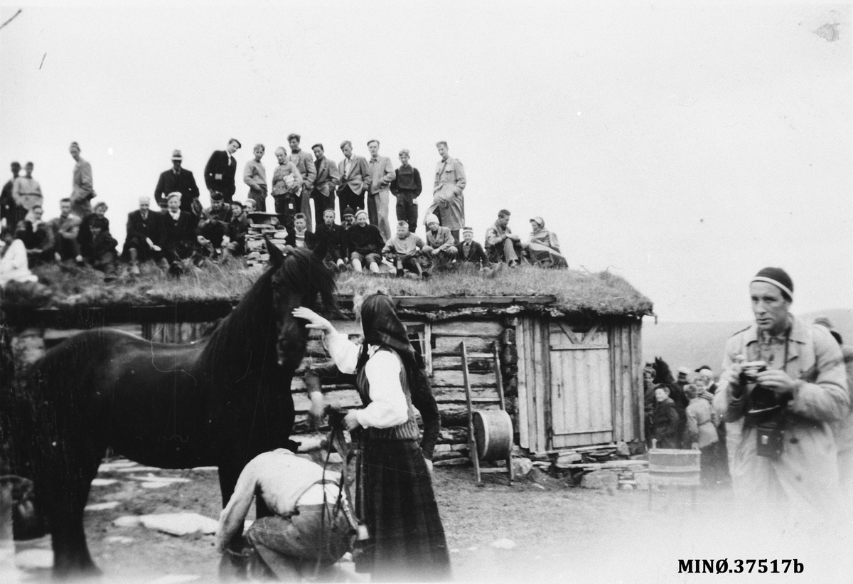 Seterstevne Rausjødalen 1956 -100-årsjubileum for setermeieriet