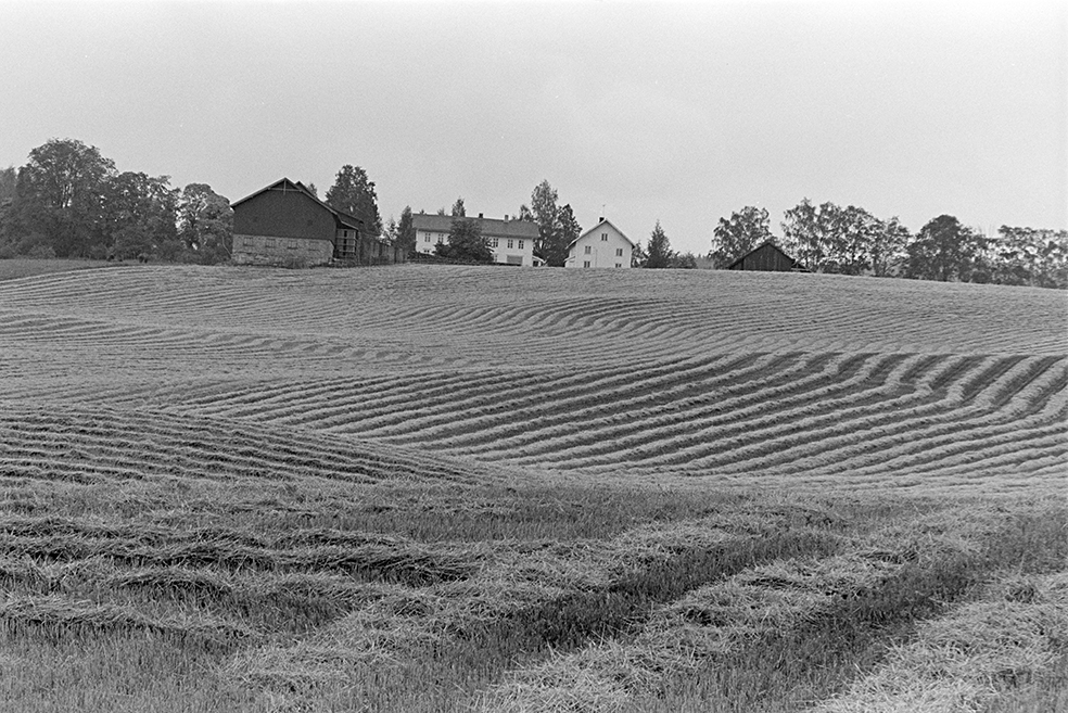 Åkerlandskap, halm, ukjent gard.