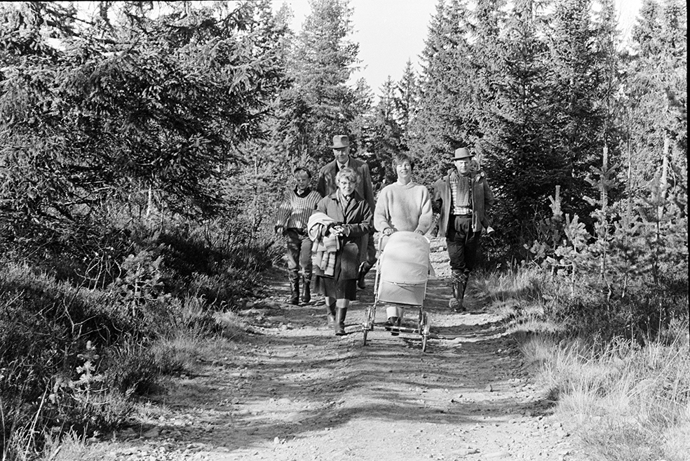 Skogstur,søndagstur,fottur, tur til Lageråkvisla i Vangsåsen.