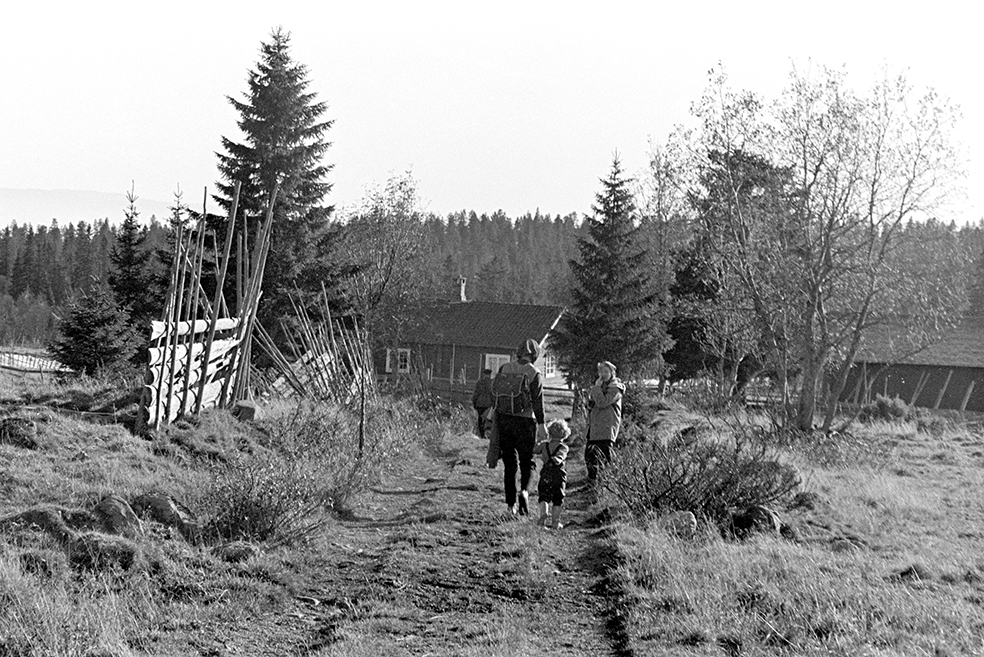 Skogstur,søndagstur,fottur, tur til Lageråkvisla i Vangsåsen.