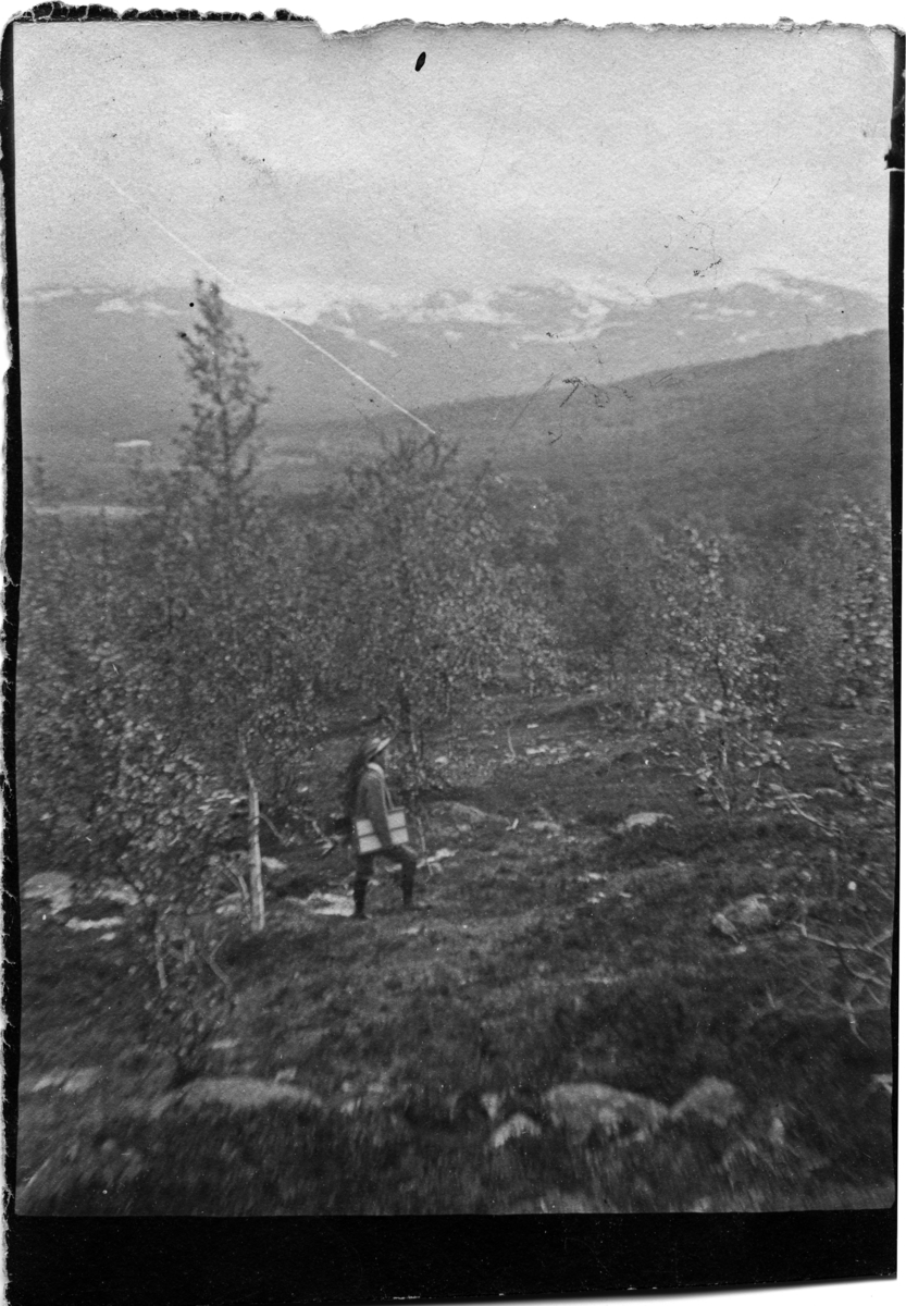 John Bauers Lapplandsresa sommaren 1904. Utsikt mot Somaslaki och Kierona från Nuolja, ett fjäll vid Torneträsk.