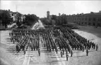 Gruppbild, ingenjörkåren ovanför götiska valvet omkr 1914.