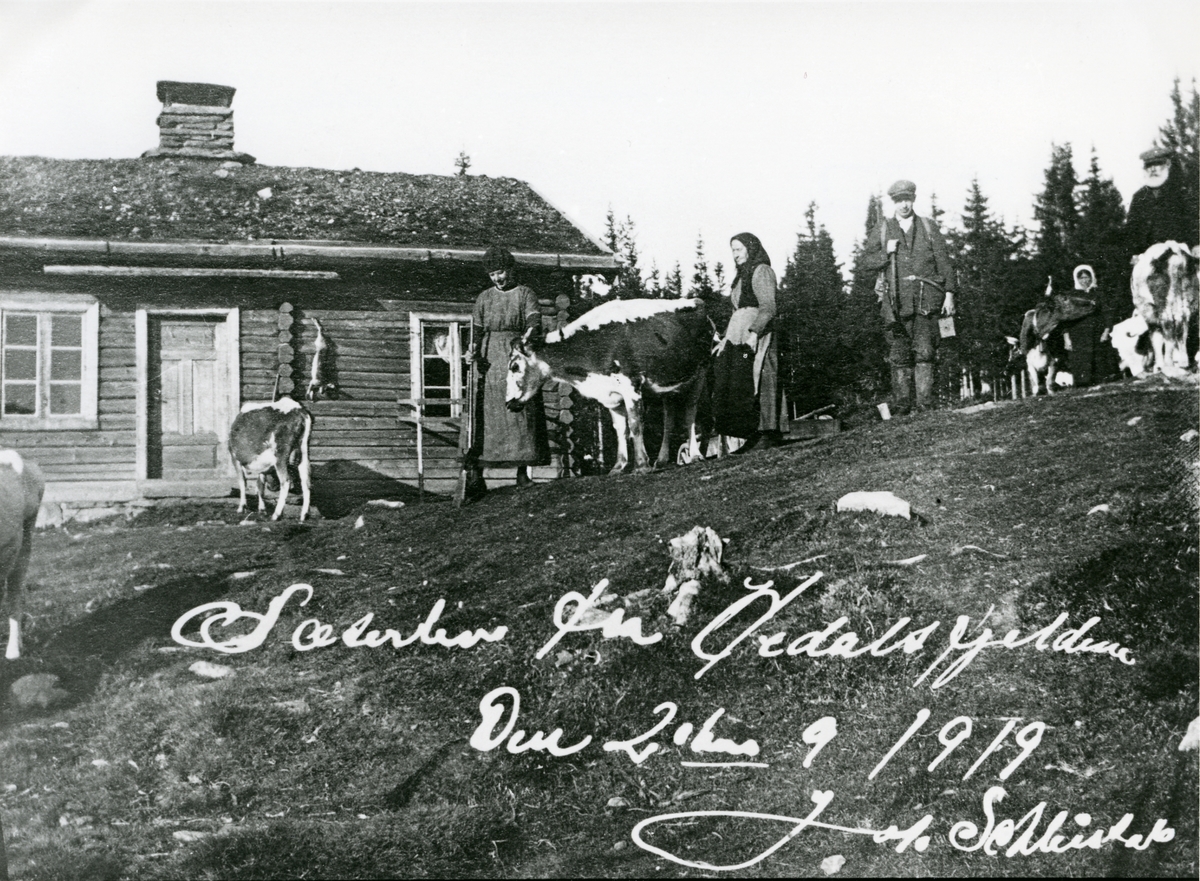 Seterliv, frå Søre Li-setra i Hedalen, 1919.