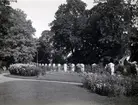 Staket och blommor på Tuna gård.