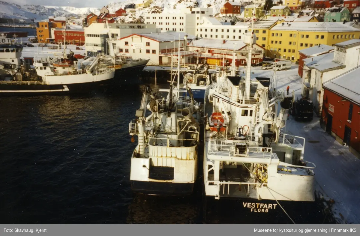 Loddesesong i Honningsvåg. I bakgrunnen deler av Honningsvåg sentrum. Bilde ble tatt fra Hurtigruta. Mars 2003.