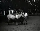 Sven, Sigrid på hästen Stumpan, Tore, Hans och Lars. Sigrid var krigsbarn från Tyskland, hon kom till Tuna efter första världskriget (1920 talet). Dotter till Hugo Hammarskjölds bekant David Carlson i Stettin, Sv Pommern.