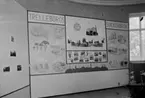 Trelleborg 75-årsjubileum 1942. Skyttsgården utställning. Skärm med fotografier och illustrationer.