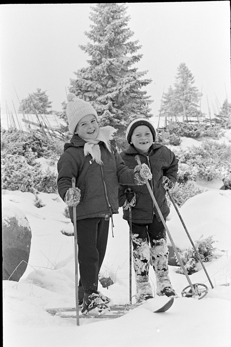 Sjusjøen, vinter. Barn på ski,