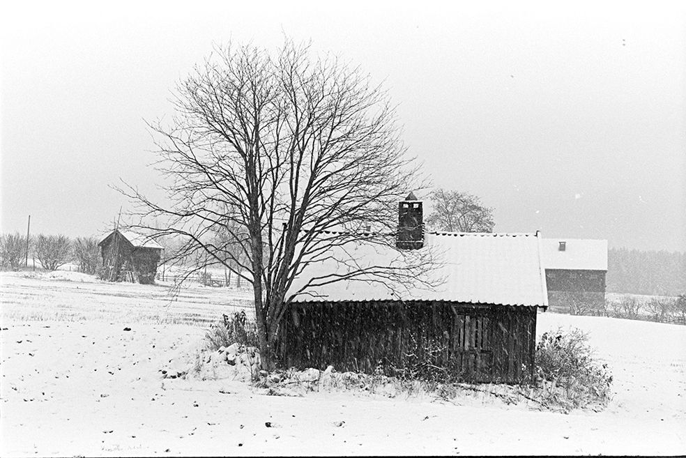 Voll gard, smie, stabbur, eksteriør, vinter.