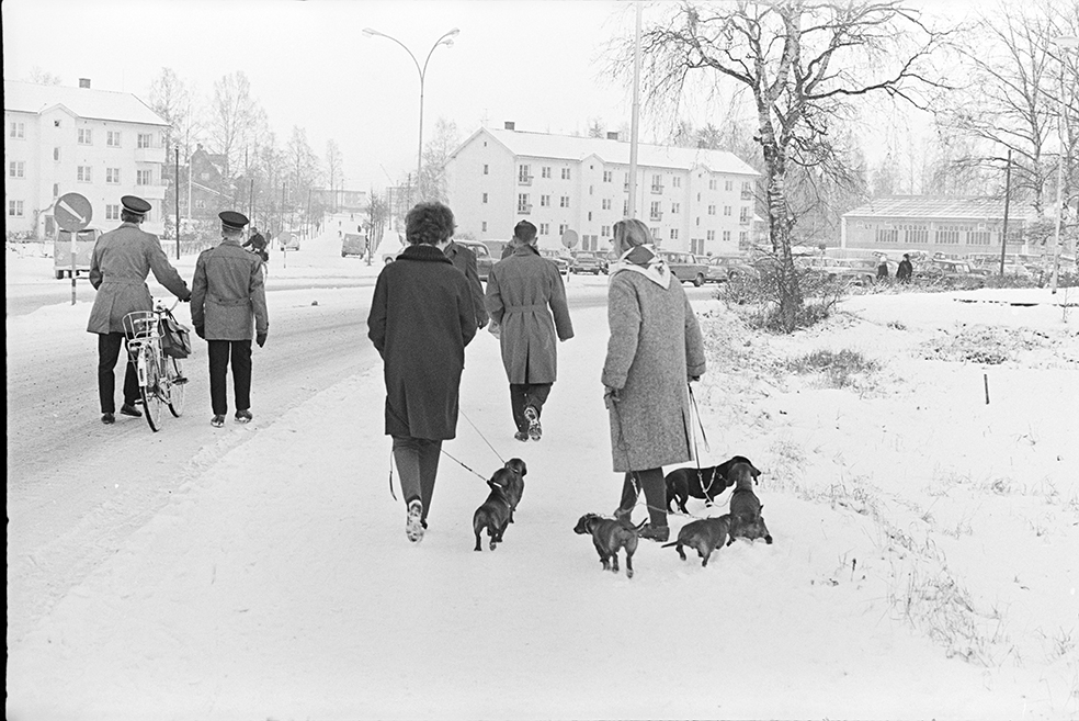 Vangsvegen, Hamar, vinter, fotgjengere, hunder.