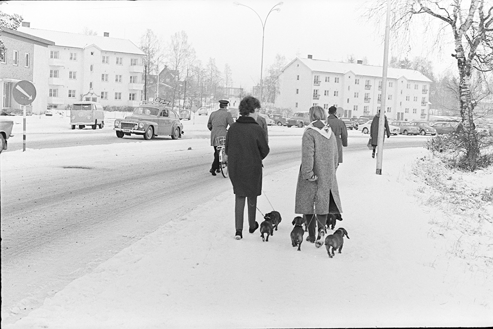 Vangsvegen, Hamar, vinter, fotgjengere, hunder.