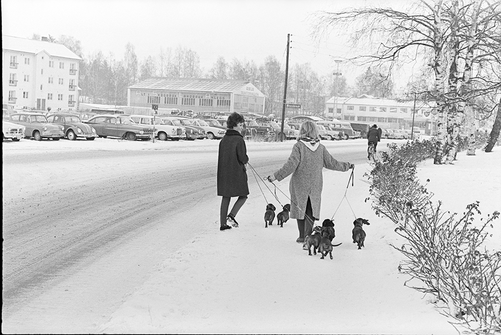 Vangsvegen, Hamar, vinter, fotgjengere, hunder.