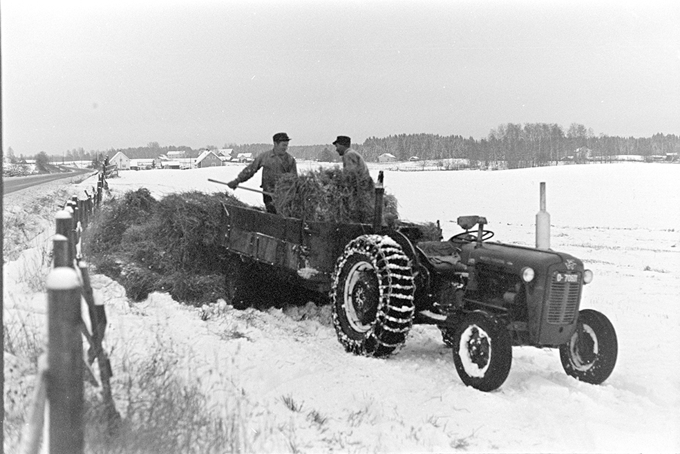 Innkjøring av halm,traktor,jordbruk,ukjent sted.