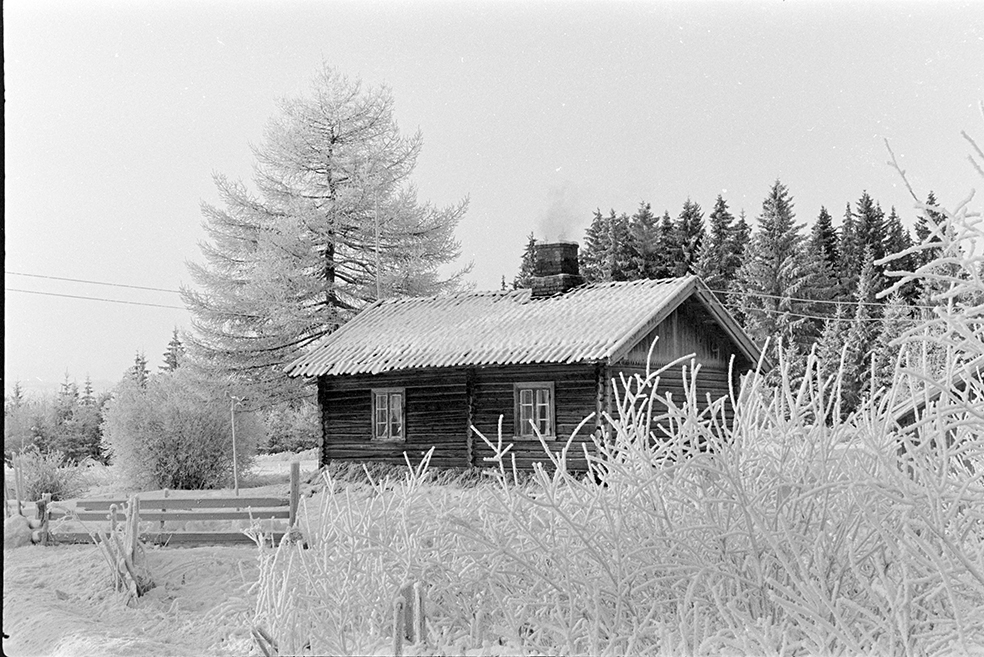 Husmannsplass, ukjent, vinter, rimfrost.