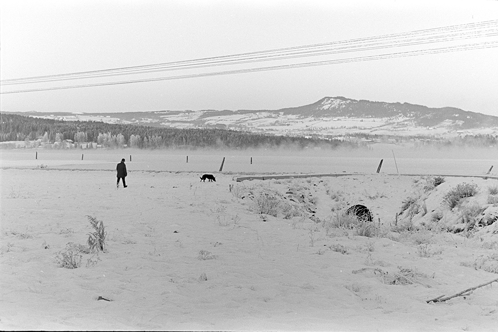 Kvarbergsvika, vinter.