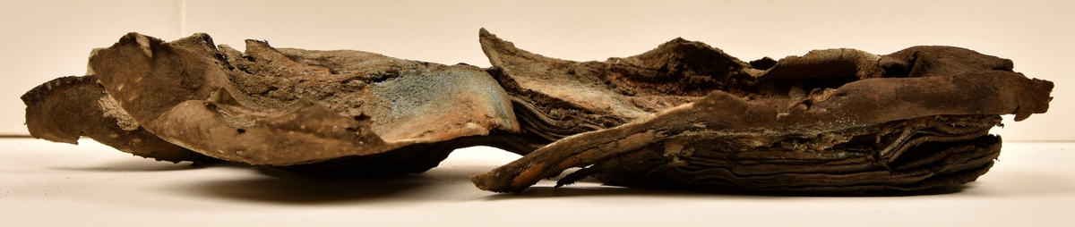 Sko.
Inuti skorna hittades även fragment från olika textilier som ursprungligen varit ett par strumpor. Idag sitter ett stickat fragment av ull fast i vänsterskon (23070) med avigsidan uppåt. I fyndet finns även en mängd lösa stickade fragment som idag är mycket korroderade och vissa helt mineraliserade av järn vilket har gjort textilen stenhård och därmed oerhört skör (23070a-c). Utifrån minskningar som några små fragment har så har det varit möjligt att rekonstruera strumpans tå. Genom att pussla ihop fragmenten som ursprungligen har suttit ihop har det på så vis gått att avgöra hur strumpans tå har varit konstruerad. Då textilen är så fragmentarisk är det inte möjligt att avgöra hur resten av strumpan har sett ut eller varit konstruerad. Däremot så finns det fragment av ett kypertvävt tyg av ull som på vissa ställen ligger dubbelt med det stickade 23070c). Ett av dessa fragment har stelnat i formen så som den suttit på fotens främre del inuti skon. Detta fragment täcker delvis det stickade tyget och har dessutom spår av kaststygn längs en kant. Så som det vävda tyget är placerat på det stickade tyget pekar på att man använt det som lagningslappar till sina stickade strumpor. 
I fyndet finns det även korroderade järnklumpar, ett tuskaftsvävt tyg av ull och rester av ett grovt bastfibergarn och två mindre läderfragment (23070d-f). Det är möjligt att även dessa har tillhört strumpan och/eller skon.

För mer detaljerad information från textildokumentationen (år 2022) se länkade filer.

Skodokumentation 2022:
Ovanläder. Tillverkad i getskinn av god kvalitet. Hör ihop med fyndnummer 23069 (Yngves skor). Tillverkades på en rak läst och bars på vänster fot. Inga dekorationer Det finns stygnhål som visar att det funnits invändiga förstärkningar (men förstärkningslappen saknas). Det finns delaminering men inga lagningar.
För mer information, se Länkade filer: Uppritning

Text in english:
This is the upper of a shoe of more “extreme fashion”, made of goatskin leather of good quality, probably made on a straight last and worn of the left foot, with no decorative features. The upper couples with 23069, together composing Yngve’s shoes. There are internal reinforcements missing from the upper and delamination, there are no repairs.
For more information, go to Länkade filer: Uppritning