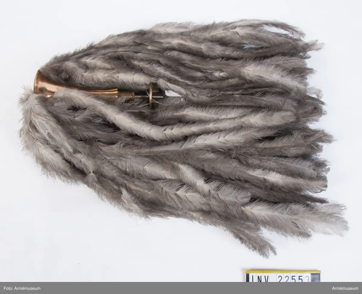 Hängande vita fjäderplymer.