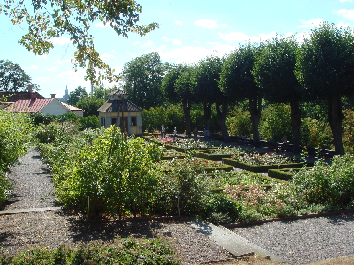 Rosenträdgården sed från Sagaliden. Swedenborgs lusthus och Järnhandlargården syns i bakgrunden.