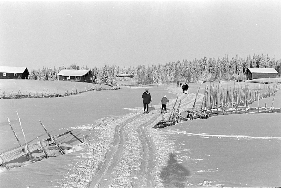 Skitur i Vangsåsen, skiløper, vinter, skigard, Lageråkvisla.