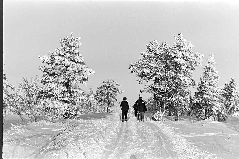 Skitur i Vangsåsen, skiløper, vinter.