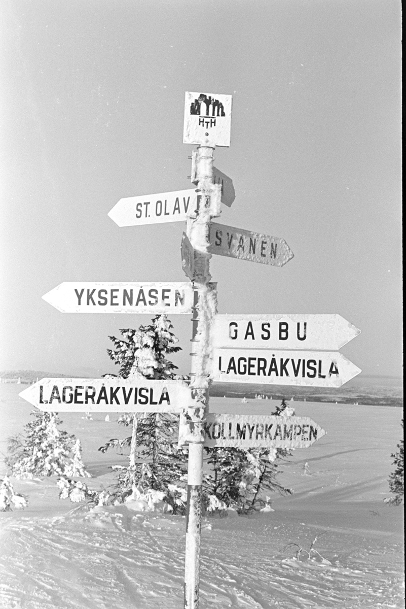 Skilt, stier og skiløyper i Vangsåsen, Hamar og Hedmarken Turistforening.