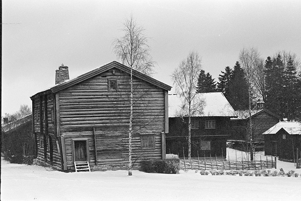 Skøienbygningen, Hedmarkstunet, Hedmarksmuseet, Domkirkeodden, vinter.