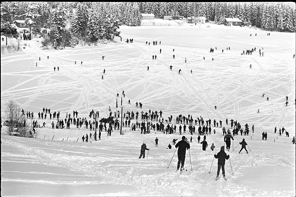 Alujordet, Hamar/Furnes. Hedmarkstoppen, vinter, skiløpere.