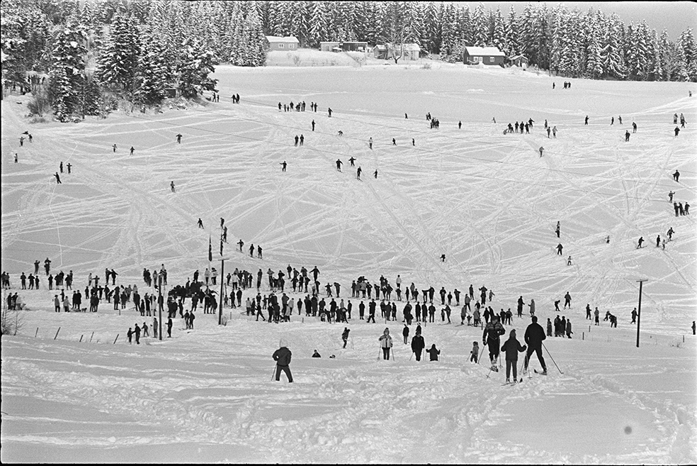 Alujordet, Hamar/Furnes. Hedmarkstoppen, vinter, skiløpere.