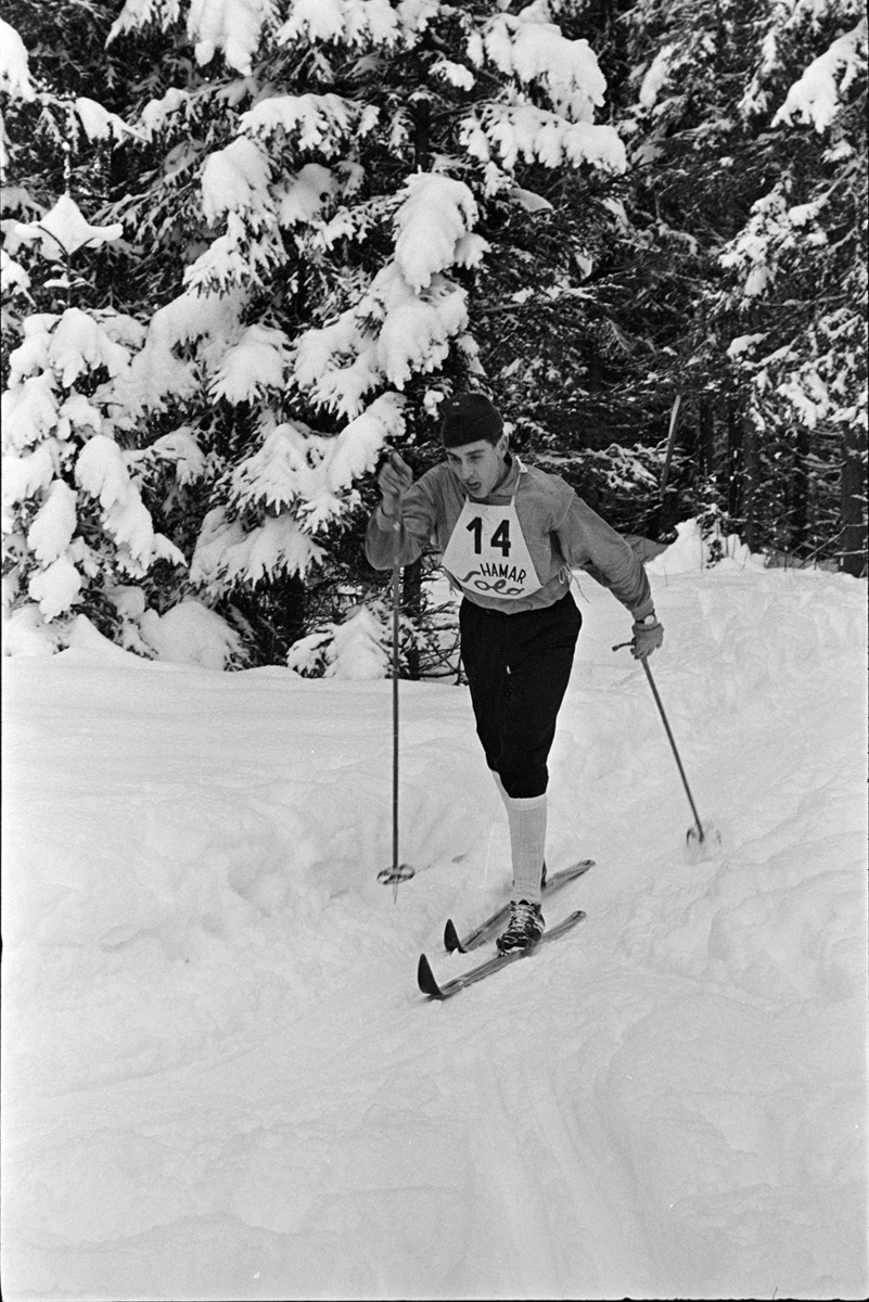 Alujordet, Hamar/Furnes. Hedmarkstoppen, vinter, skiløper, langrennsløper,