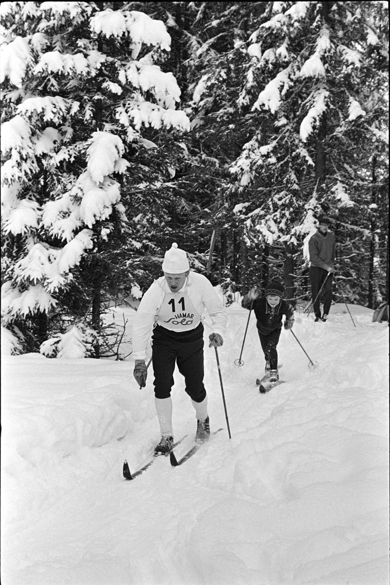 Alujordet, Hamar/Furnes. Hedmarkstoppen, vinter, skiløper, langrennsløper,