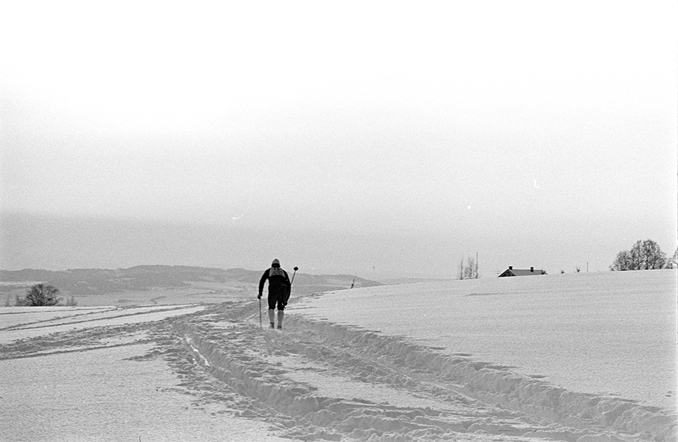 Alujordet, Hamar/Furnes. Hedmarkstoppen, vinter, skiløper, langrennsløper,