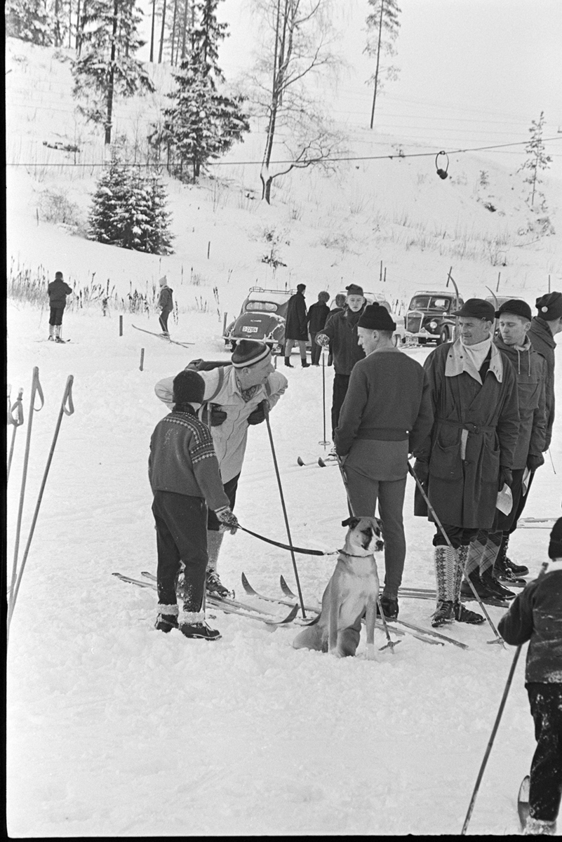 Hedmarkstoppen, skisøndag, ukjente,