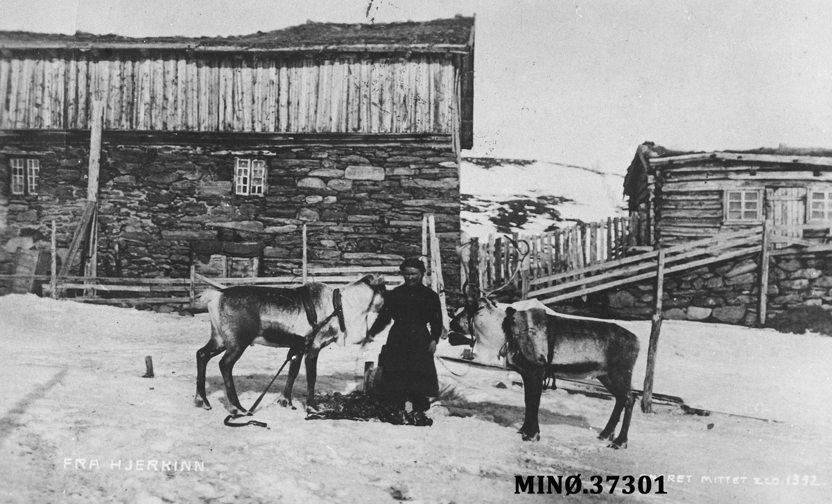 Mittet & Co etablert av Peder Mittet i 2014 har ingen direkte tilknytning til det tidligere kunstforlaget.
Mittet & Co. A/S er et tidligere norsk forlag som gav ut kunstforlagartikler, først og fremst i form av en enorm mengde postkort, men også barnebøker og kunstlitteratur. Forlaget ble etablert som et bildebyrå av Ingebrigt Mittet (1875–1950), og og videreført og utbygd av hans to sønner Knut og Søren Mittet. Nærmere 1950 fikk bildebyrået navnet Mittet Foto. Firmaet ble kjøpt opp av danske Chr. Olsen i 1987.