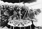 Till höger kolonisten Kurt Hedlund med hustru, t.v. deras gäster.
Bäckebro koloniområde. 1976