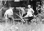 Bäckebro koloniområde. 1976