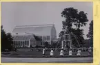 Palmhuset i Trädgårdsföreningen i Göteborg, förmodligen 1890-tal.