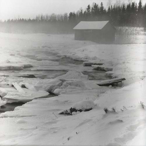 Ett vattendrag för med sig isflak genom ett dimmigt landskap. I bakgrunden står en lada och en skog i en snöig omgivning.