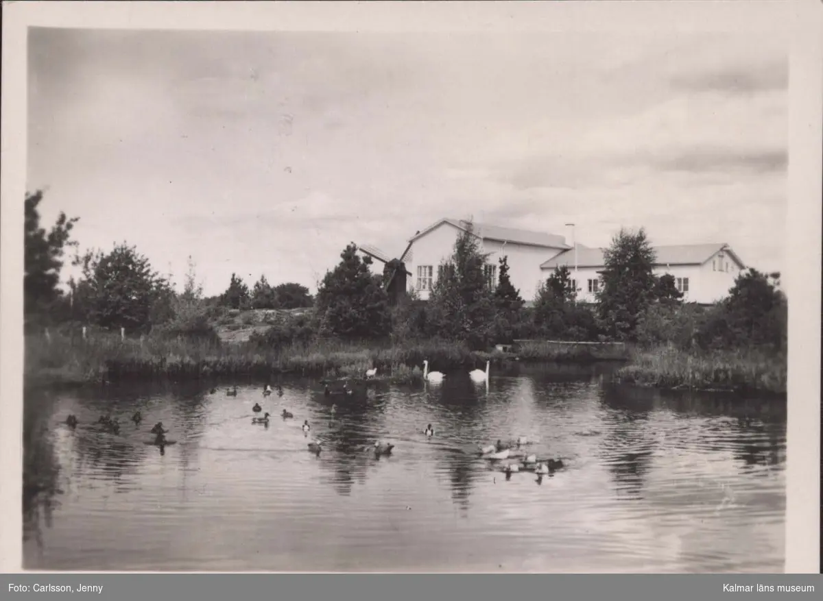 Västerviks museum Kulbacken med svandammen i förgrunden.