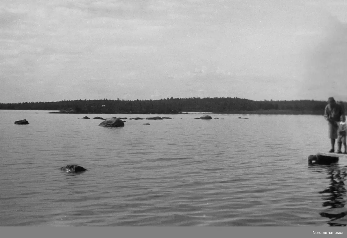 Landskapsbilde. Muligens fra Gudrine Andersens reise til Finnmark etter påført tekst på negativmappe. Fra Nordmøre museums fotosamlinger.