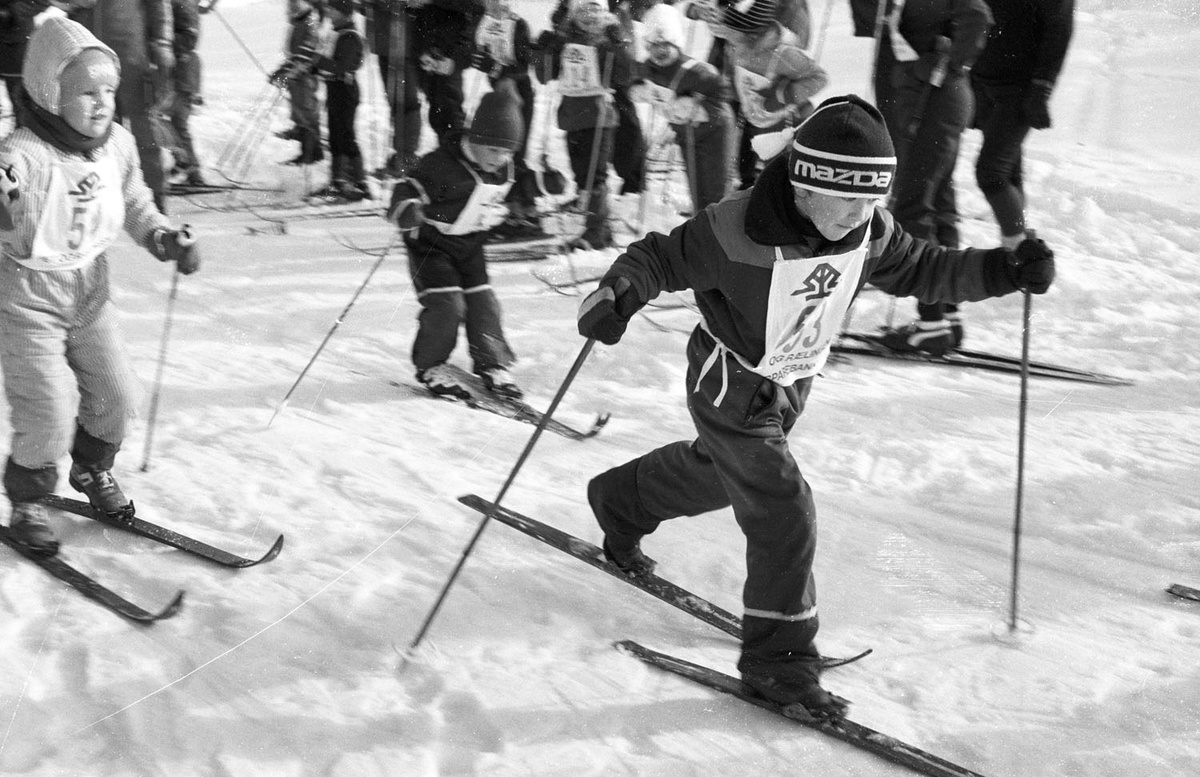 Barn på ski