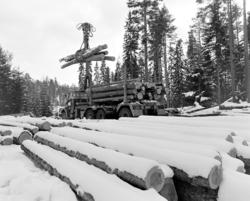 Tømmerkjøring, med hest, "Trollheimen" i Løten Almenning, he