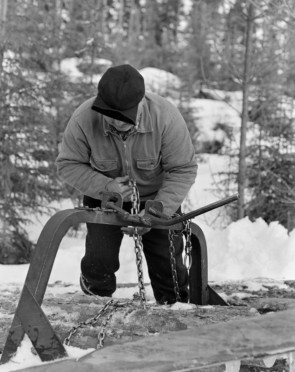 Tømmerkjøring, med hest, "Trollheimen" i Løten Almenning, hestekar Paul Nordvold. Skogsarbeid, tømmerhogst, hesteredskap, bukk og geit.