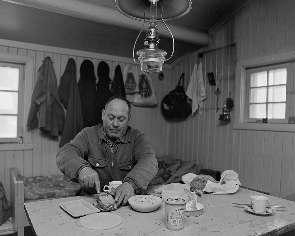 Tømmerkjøring, med hest, "Trollheimen" i Løten Almenning, hestekar Paul Nordvold. Skogsarbeid, tømmerhogst, hesteredskap, bukk og geit.