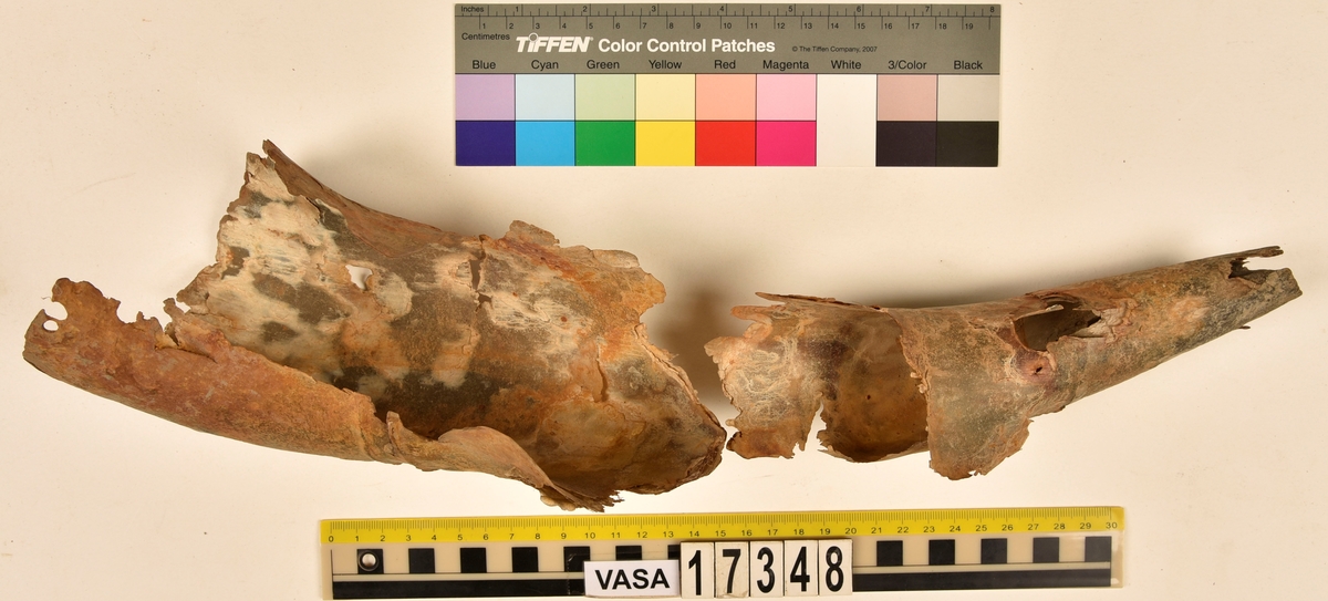 1st kohorn splittrat och brutet i två delar.
Hornet har märken efter tre stycken band/beslag som suttit runt hornet samt ett hål i kanten vid hornets mynning.